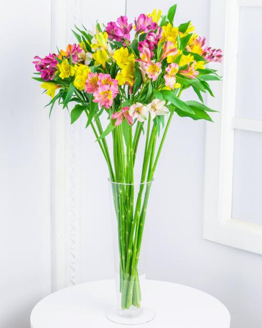 Alstroemeria