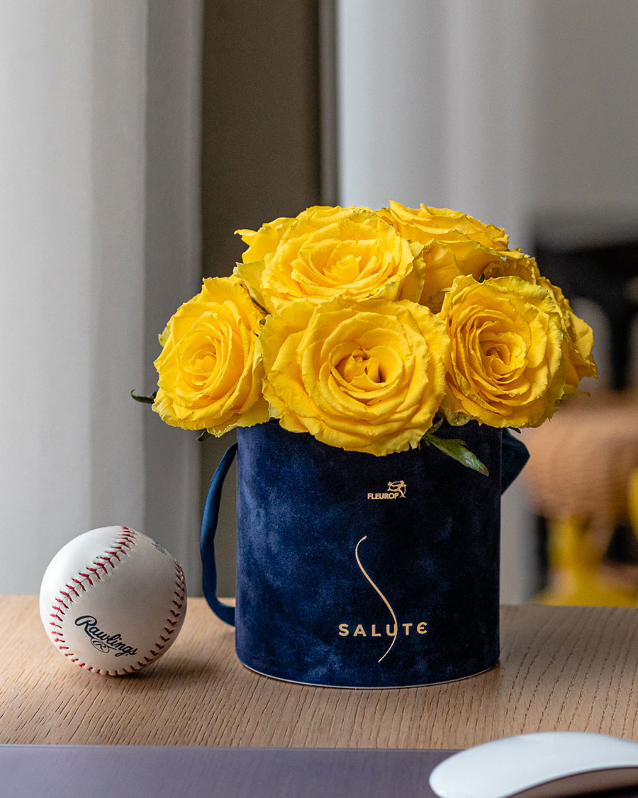 Päikest põue, tumesinises sametkarbis