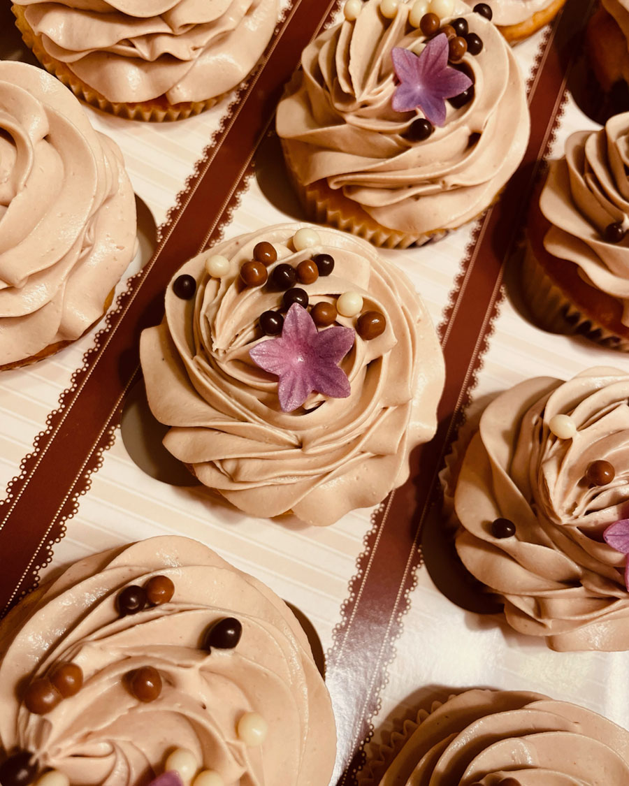 Chocolate cupcakes