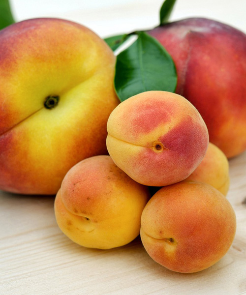 Hooajalised puuviljad (500 g)