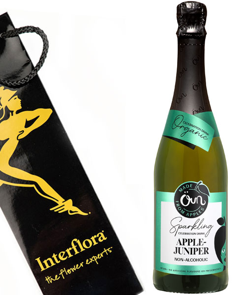 Alkoholivaba vahujook